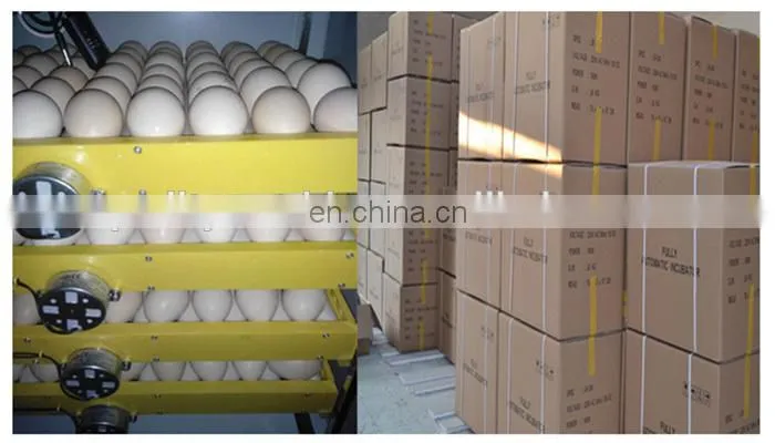 Chicken, Reptile, Bird, Emu, Ostrich, Duck Usage Egg Incubator and Hatcher