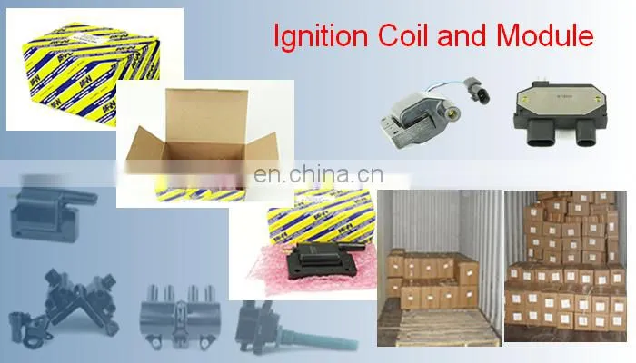High Performance Auto Ignition Coil Ignition Module For Daewoo Cielo