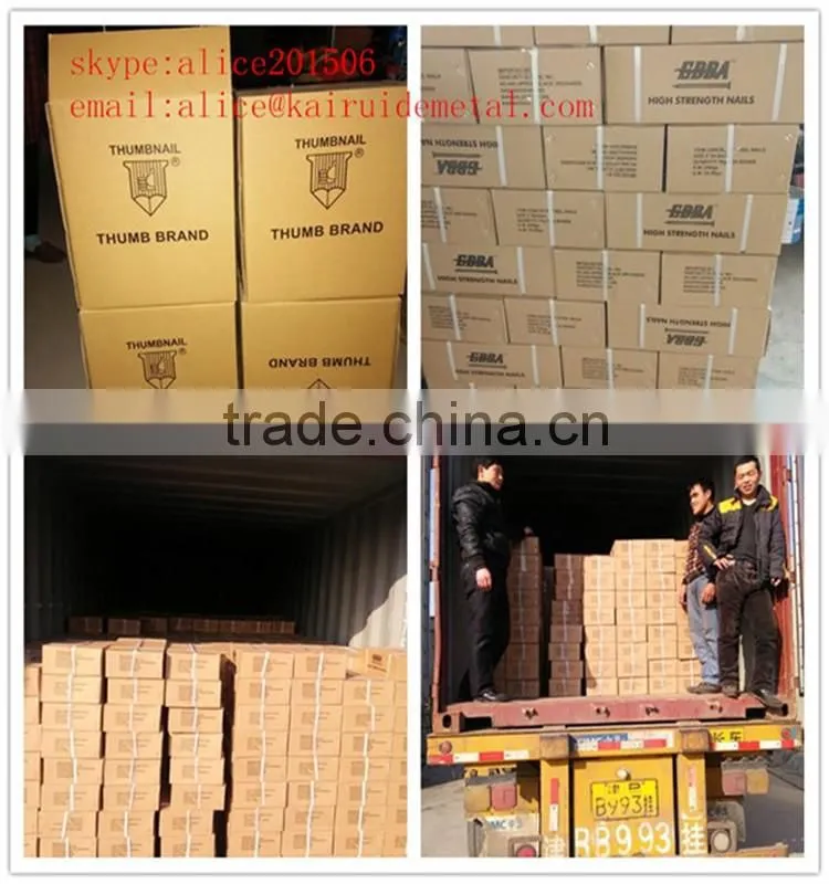 competitive price all size of common nail from common iron wire nail factory