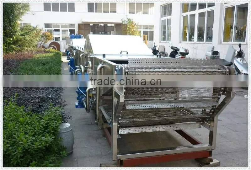 Water Immersion Continuous Sterilizer