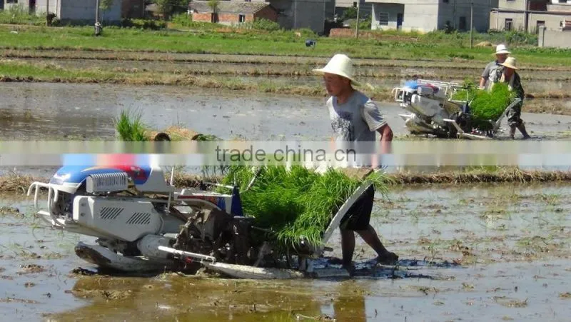 New Designed High Quality ISEKI Walking Rice Transplanter