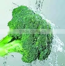 Broccoli P.E.