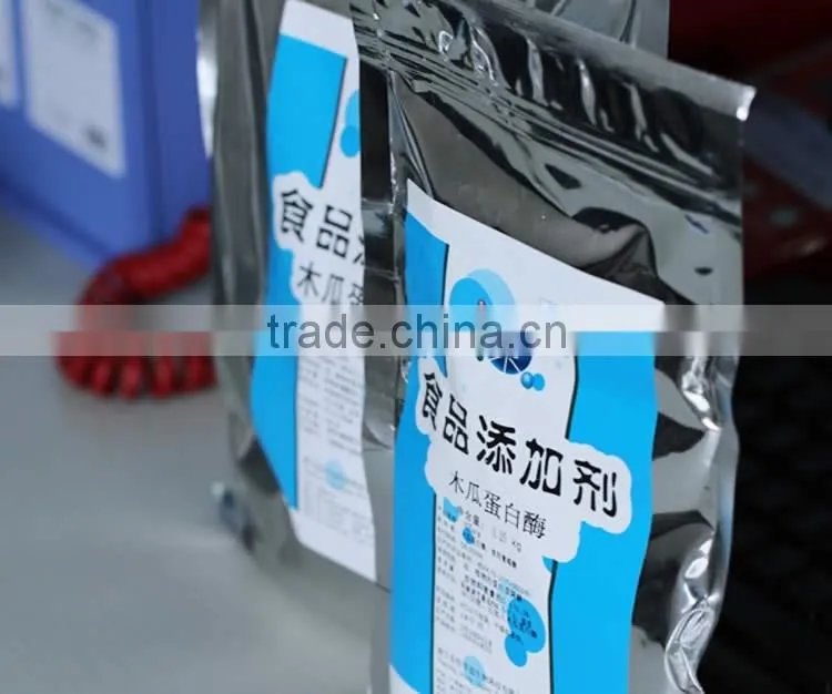 100% natural High quality factory supply papaya powder in Dried Fruit