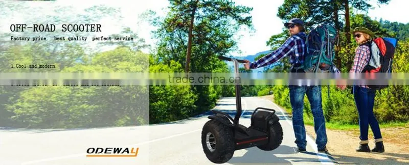 2016 Hot New Product electric chariot self balance electric vehicle with handle