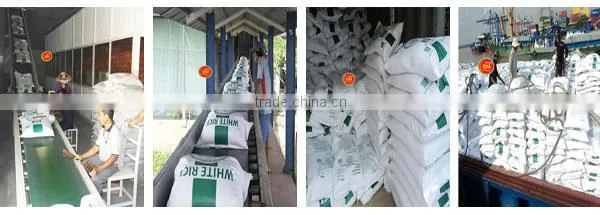 JAPONICA RICE-GRADE A " BEST PRICE- BEST QUALITY-BEST CHOICE" - sales4@ vinarice.vn - +84 918205076