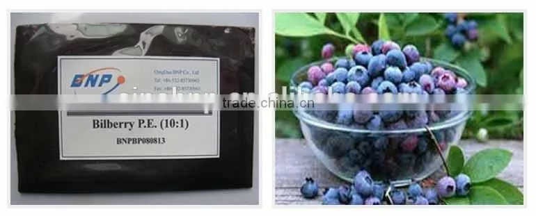 natural fruit juice powder cranberry bilberry