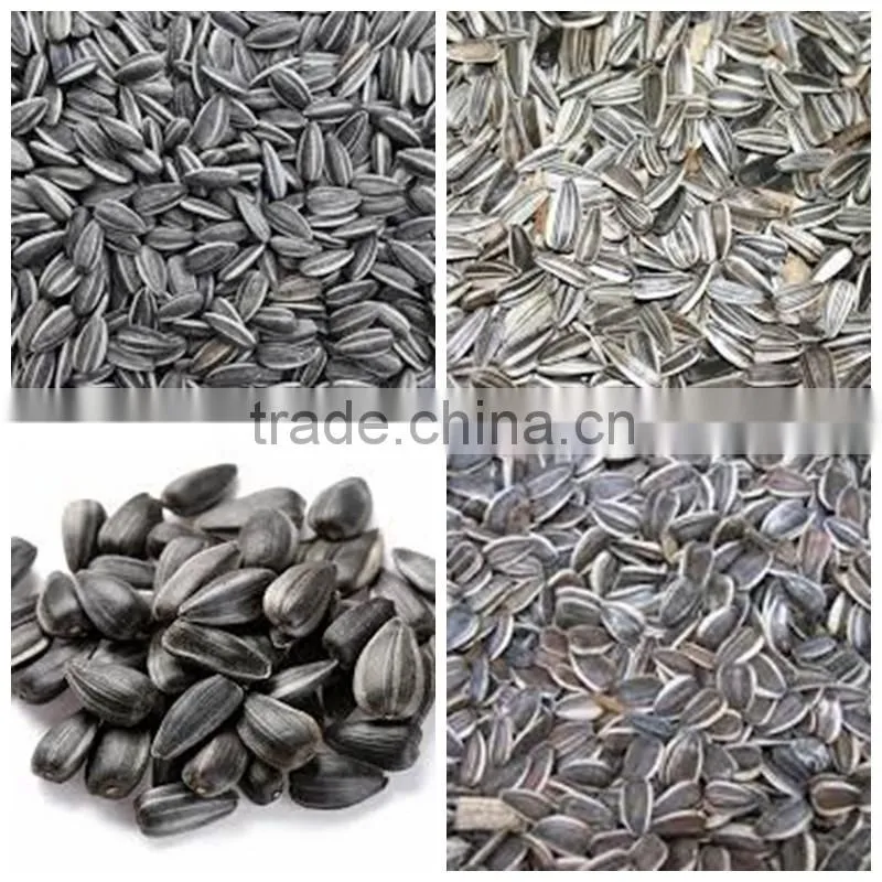 Chinese Seed Peeled roasted sunflower seeds