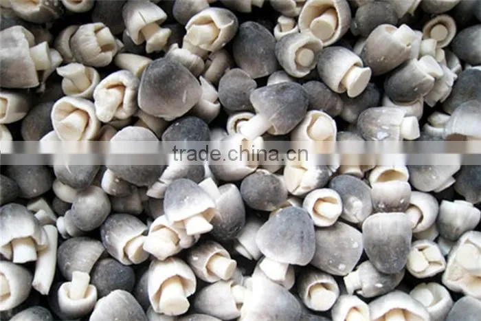 IQF STRAW MUSHROOMS