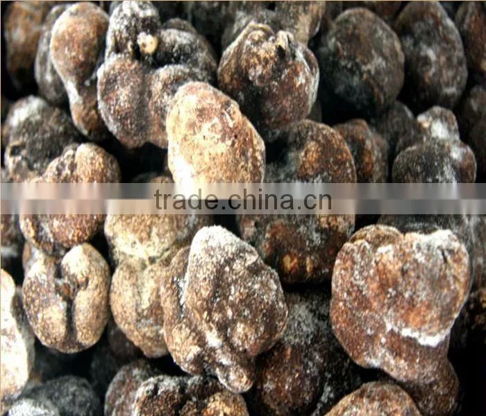 best price frozen truffle (Tuber indicum)