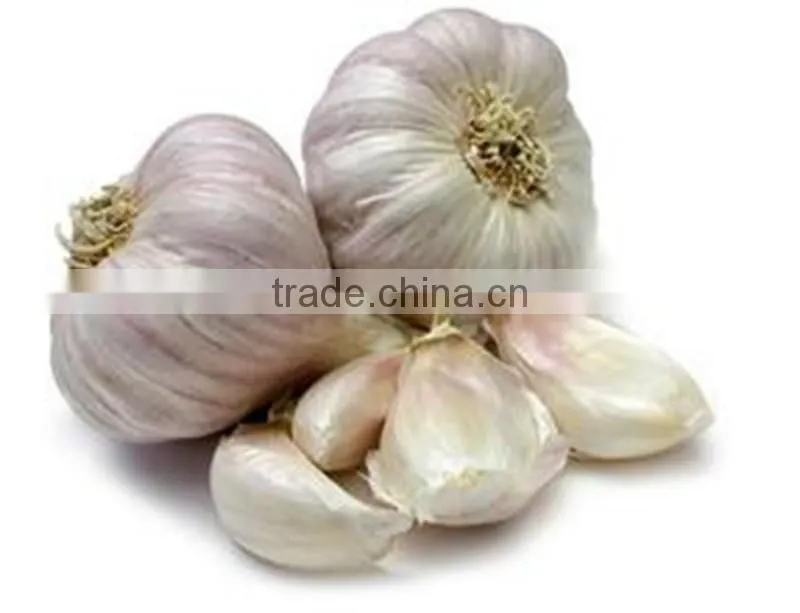 Low Price Buy Chinese Garlic