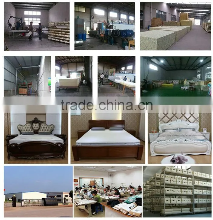 Best selling products centuary coir mattress