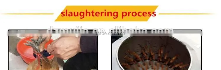 Poultry equipments poultry plucker machine MJ-80 chicken plucker