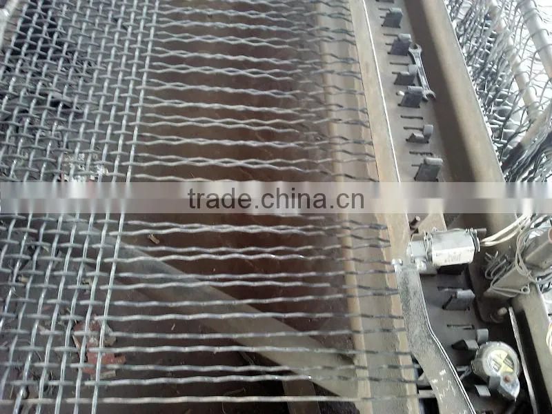 Galvanized stainless steel crimped wire mesh