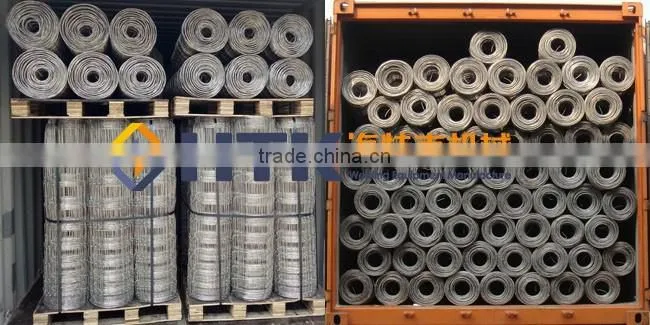 Hinge Joint Prairie Field Fence/Protect Grass Wire Mesh Fence