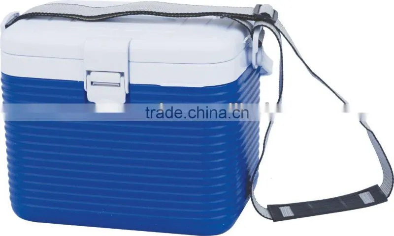 Holiday Camping Fishing Ice Box 8L Plastic Portable Insulated Cooler Box with Strap