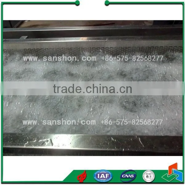 Vegetable and Fruit Washing Machine Bubble Vegetable Washer Machine