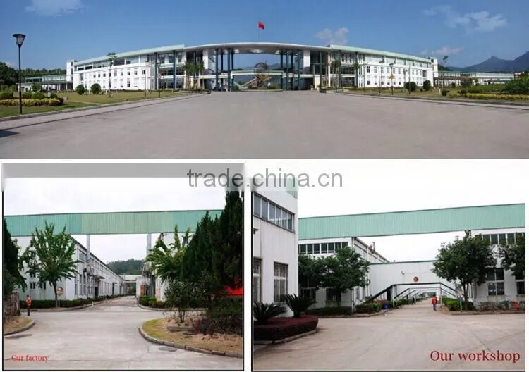 2016 Hight quality Aluminum, Dimmable Electrical Ballast / Dual E-Ballast for Plant Grow