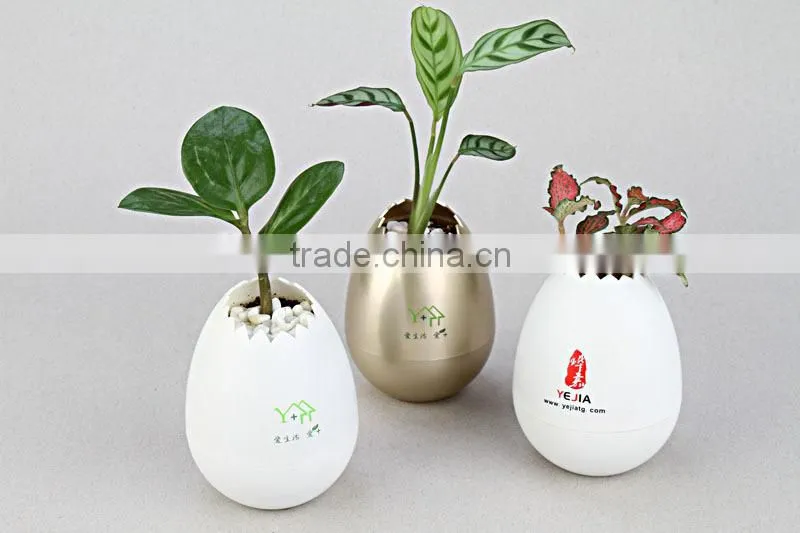 No drainage eco-friendly oil coating 9 color flower pots wholesale