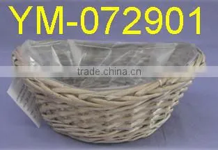 Cheap Garden Plant and Pot