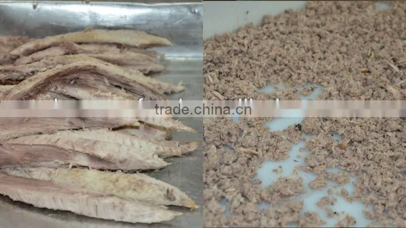 Frigate tuna meat supply