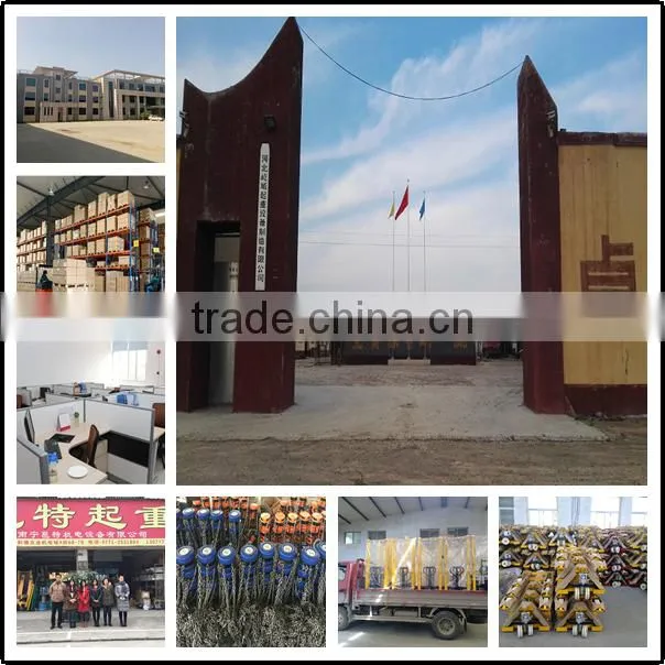 Load Capacity 100kg to 10T scale model crane