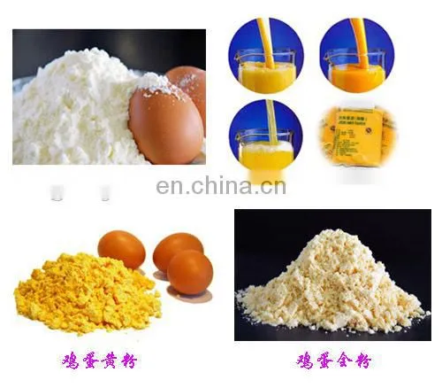 Automatic whole egg powder processing plant