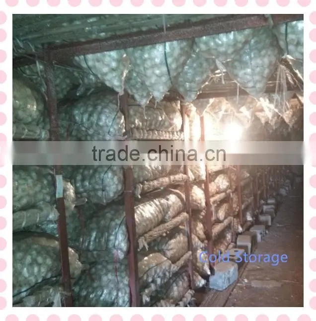 2016 new crop fresh garlic in 10kg mesh bag and carton China export garlic