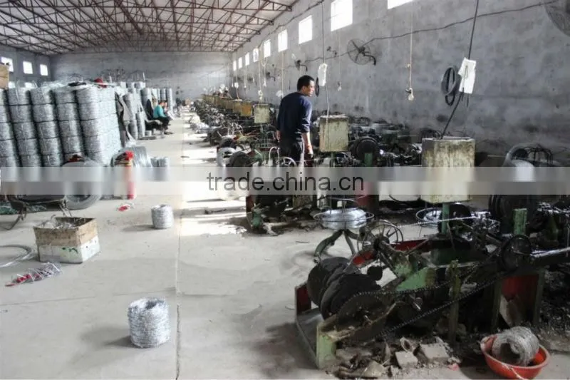 Hot-dipped Galvanized Barbed Wire