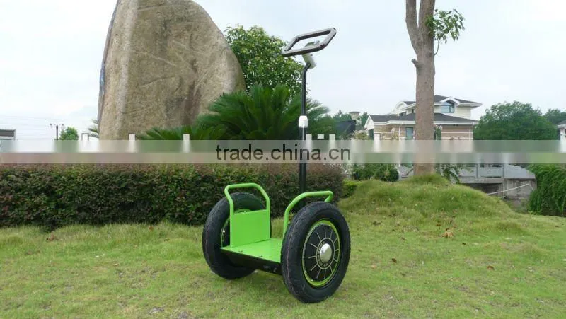 2013 new model with remote controller Zero-emission electric chariot(SKD-SG01,SKD-SG02)