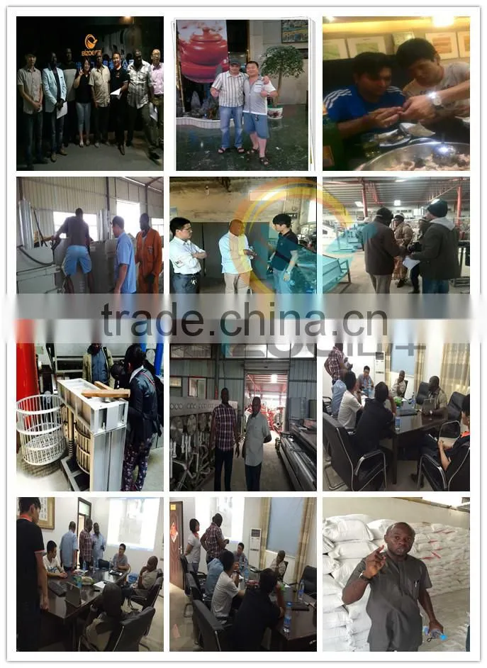 50t/day Large Capacity Sweet Potato Starch Processing Machine