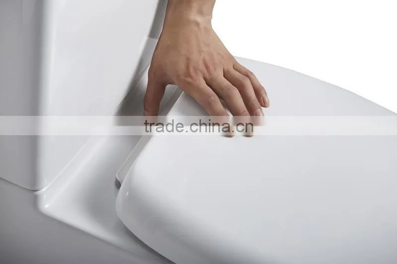 EAGO Ceramic Separate washdown water closet WA379
