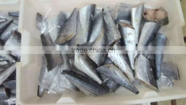 IQF Spanish Mackerel fillet,Skin on ,Cutted