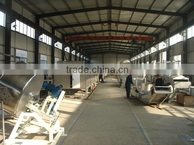 Best-selling Peanut Frying Production Line with CE