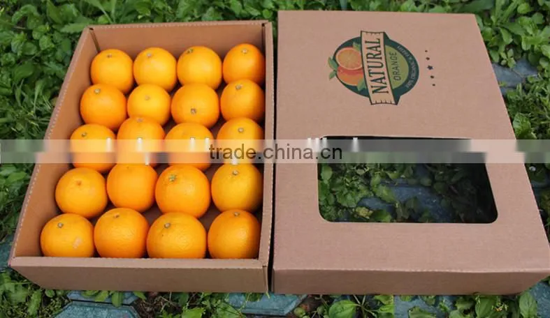 Wholesale Fruit Corrugated Carton Fruit Packing Box