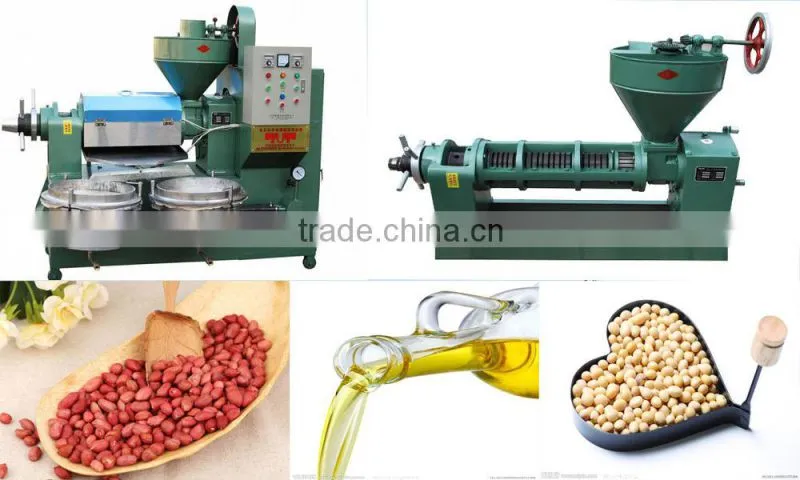High oil output walnut oil press machine from China with finest service