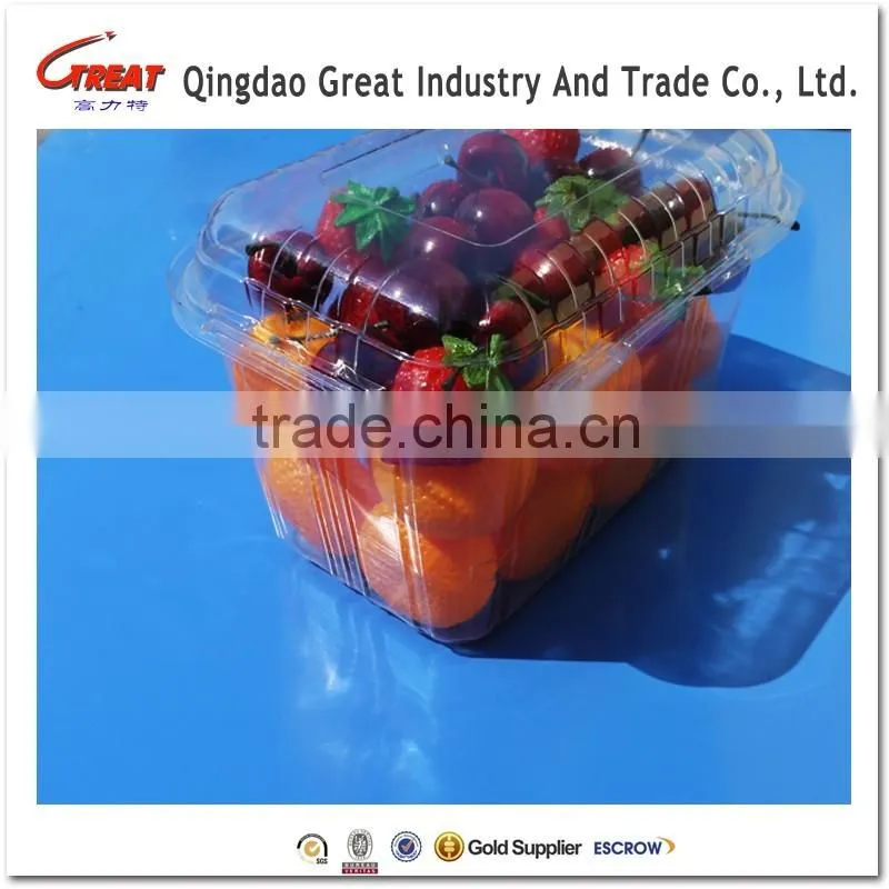 Disposable Blister Plastic Small Tomato Fruit Container Packaging Box