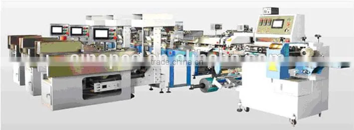 Bulk Noodle Automatic Weigting and Packing Machine