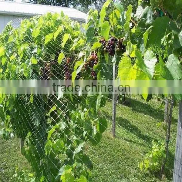 factory price anti bird netting new hdpe for grapes bird net