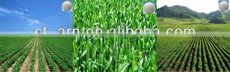 25kg/20kg/10kg sap water retaining agent for soil fertilizer