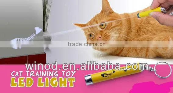 led pointer cat toy