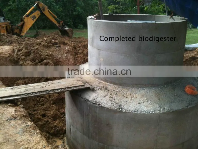 China Puxin Household 4m3 Biogas Anaerobic Digester