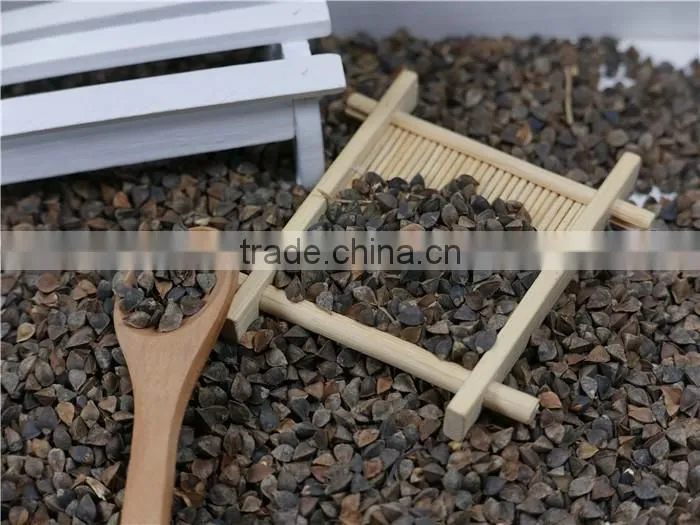 2016 new crop High Quality raw Buckwheat price