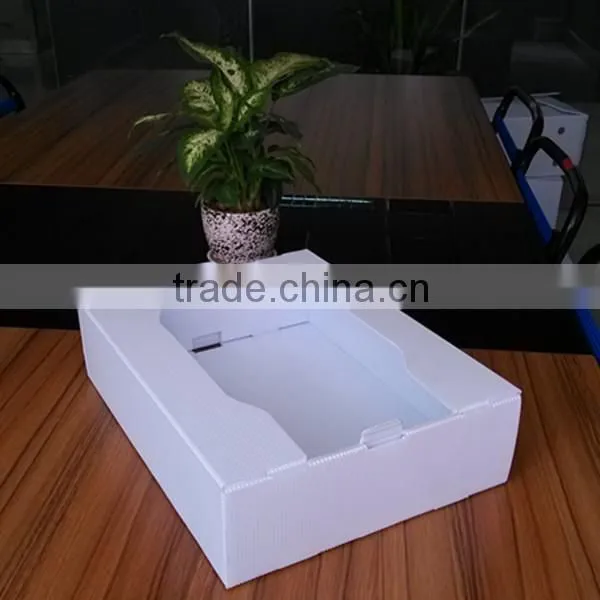 polypropylene corrugated plastic fruit box for lemon