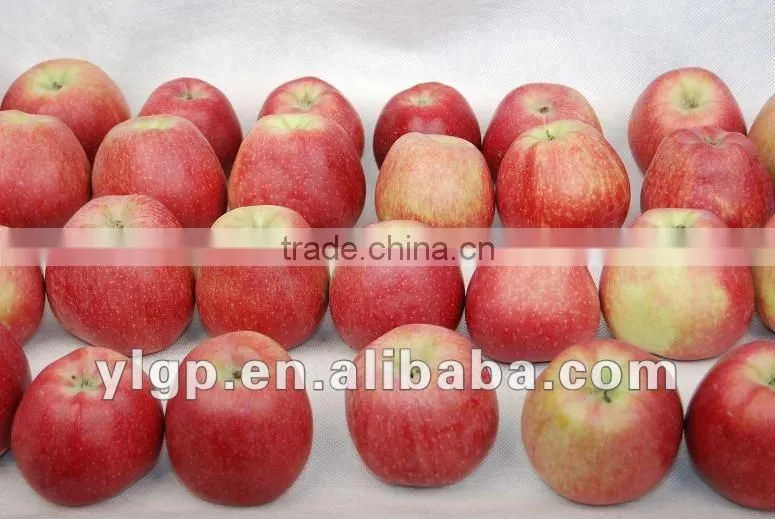 Red star apple