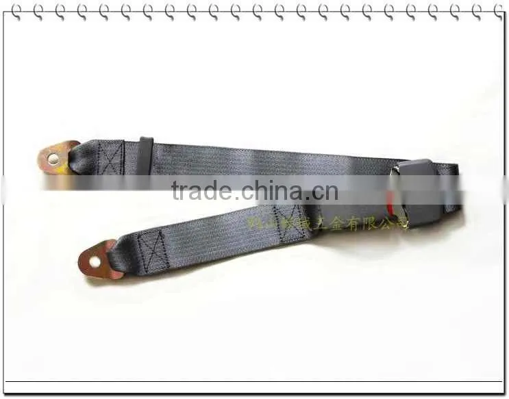 Simple 2-point seat belt