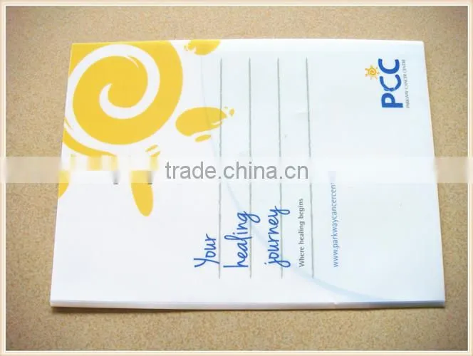 2014 Shenzhen Supplies Hight Quality Plastic Expandable File Folders