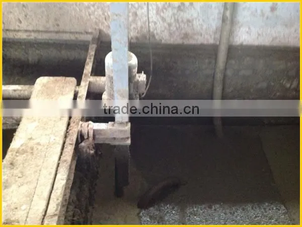 Cheep Poultry Manure/Dung Dewatering Machine