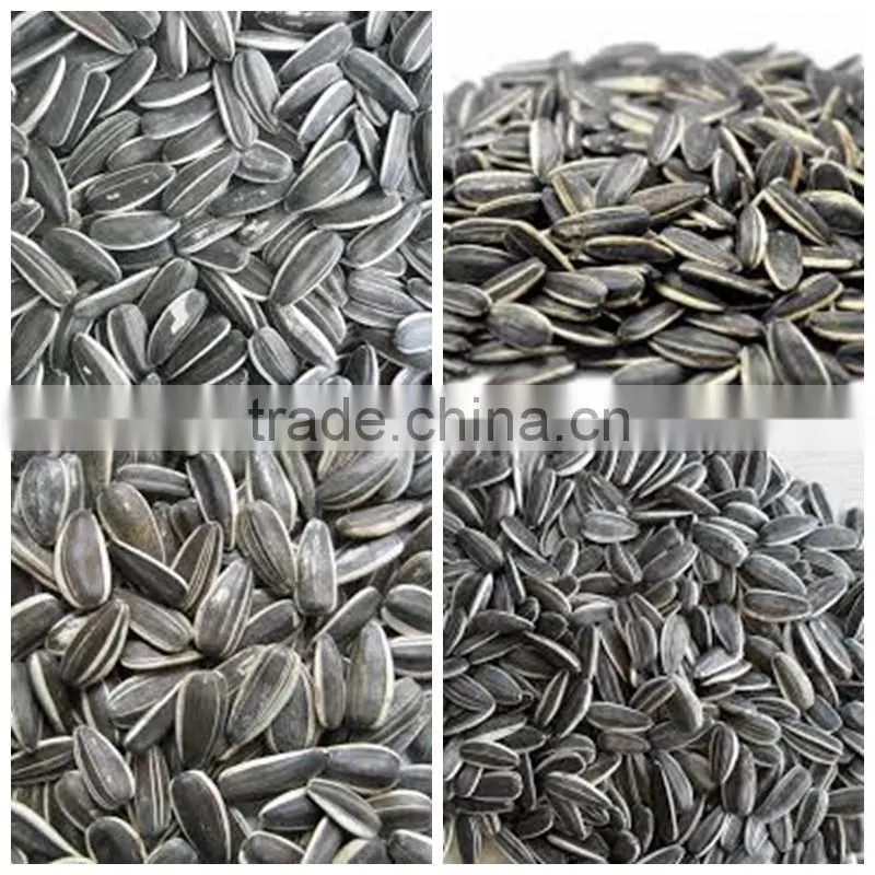 Direct factory supply bulk organic sunflower seeds