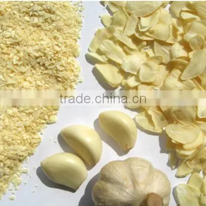 Chinese New Crop White Garlic