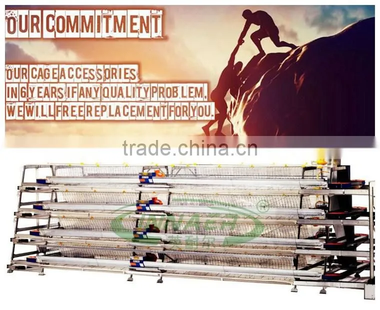 China wholesale custom high quality automatic feeder chicken layer cage /broiler cage
